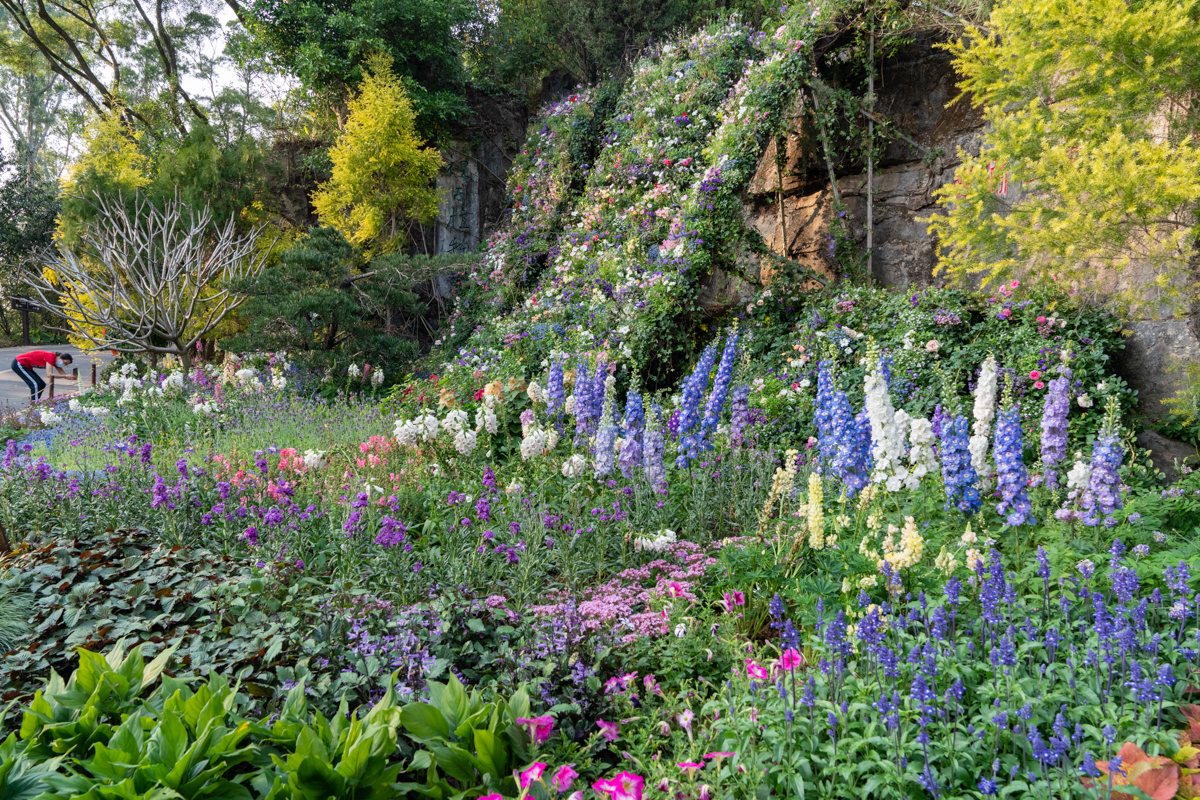 609a0205d6c39.jpg DSC08428.jpg