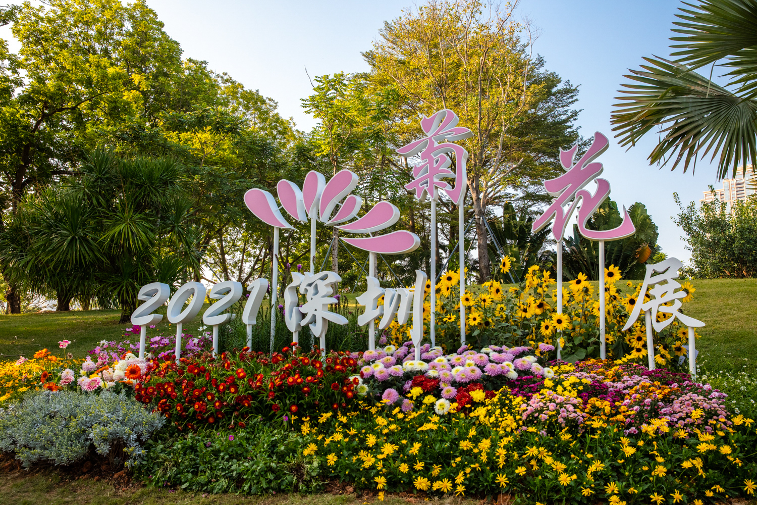 61dc03406cf3f.jpg 015A7068.jpg