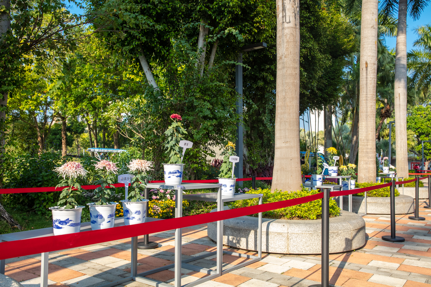 61dc07fca07d1.jpg 015A7049.jpg