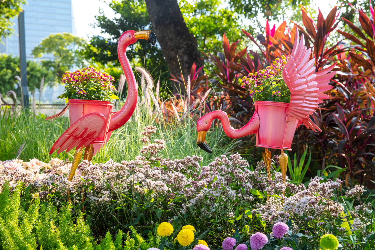 61dc089db2d97.jpg 015A7033.jpg