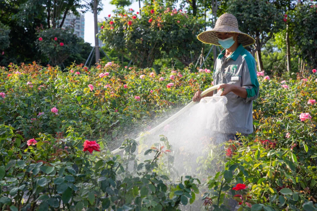 61e6648670ad5.jpg IMG_3374.JPG