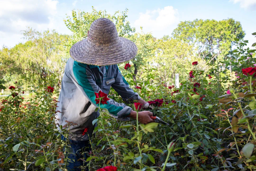 61e664935e4b4.jpg IMG_3375.JPG