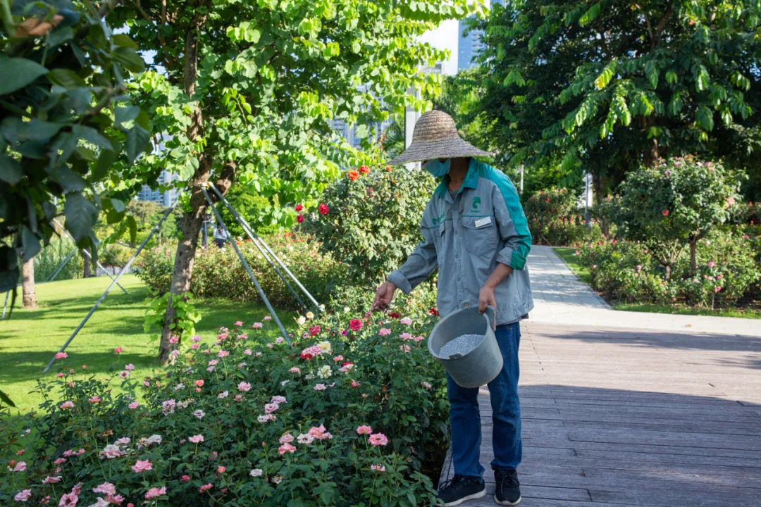 61e6649f374c3.jpg IMG_3376.JPG