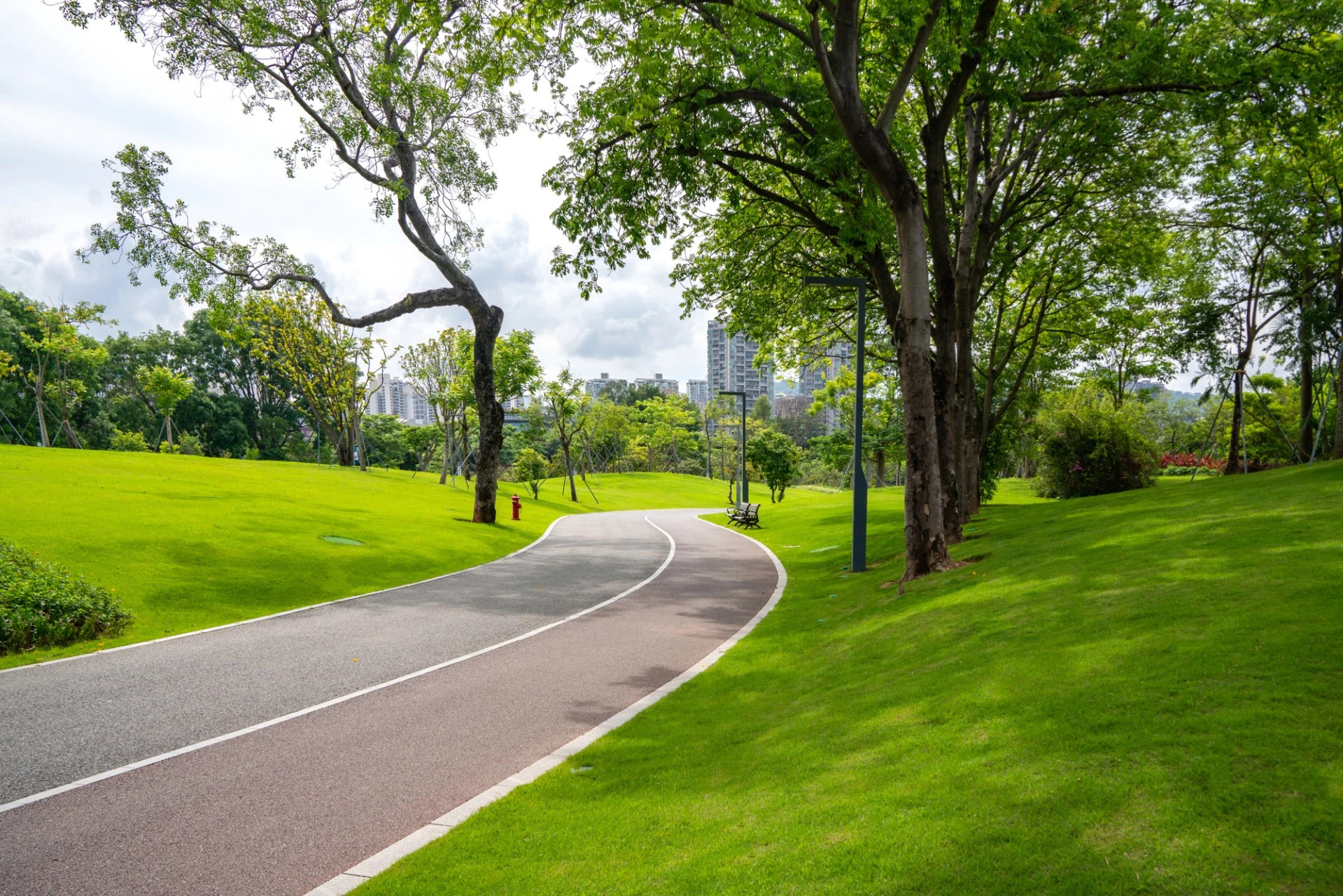 61e69577769dc.jpg 61e69577769dc.jpg