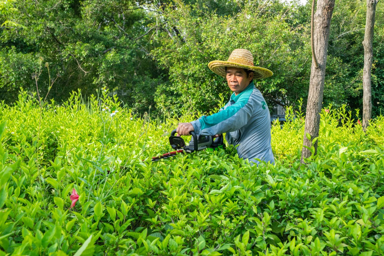 61e695f816f1c.jpg 61e695f816f1c.jpg