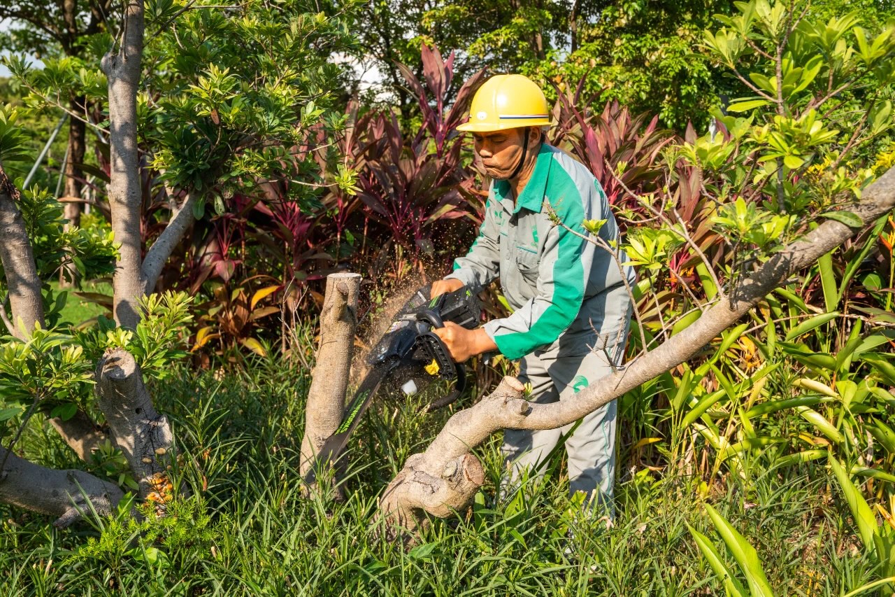 61e69619bfda2.jpg 61e69619bfda2.jpg