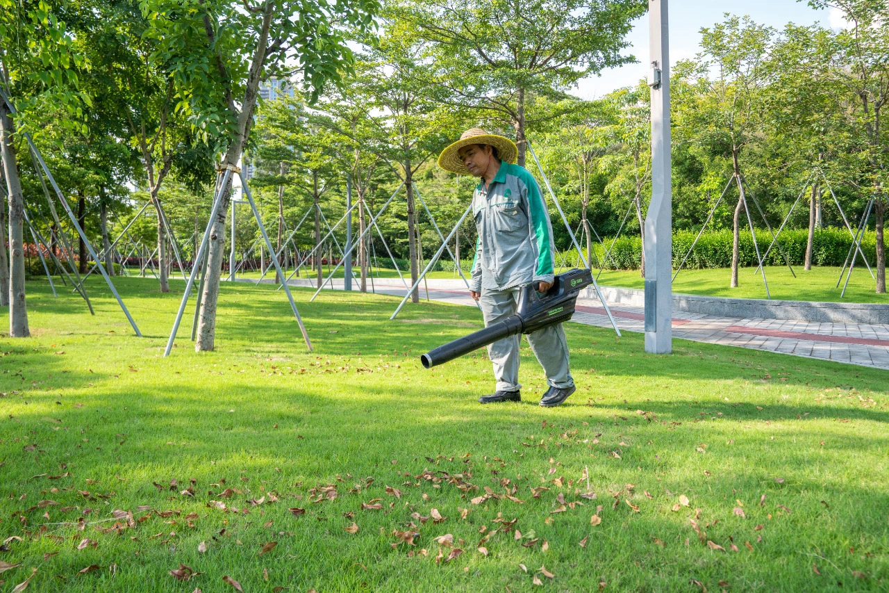 61e69655247a1.jpg 61e69655247a1.jpg