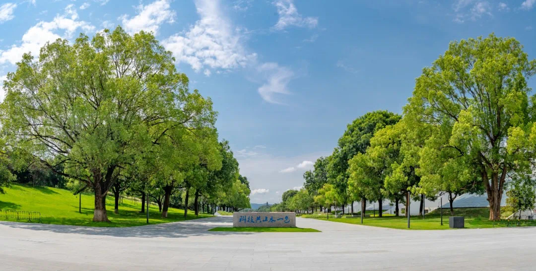 61e92c5d5b75a.jpg IMG_3446.JPG