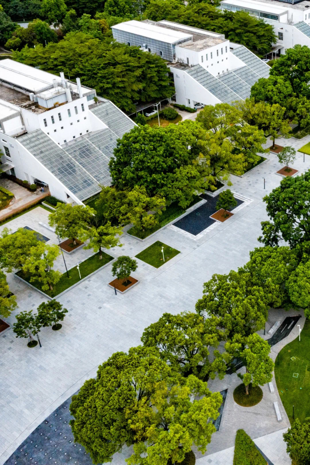 61e92c9587b20.jpg IMG_3453.JPG