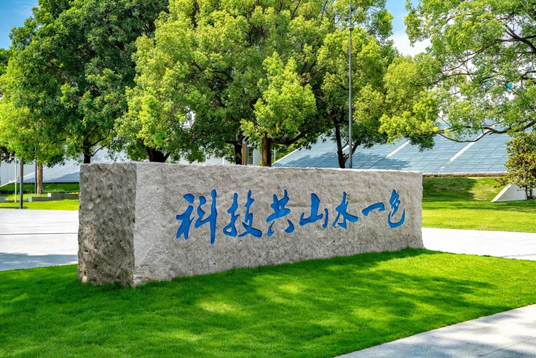 61e92cb987e45.jpg IMG_3455.JPG