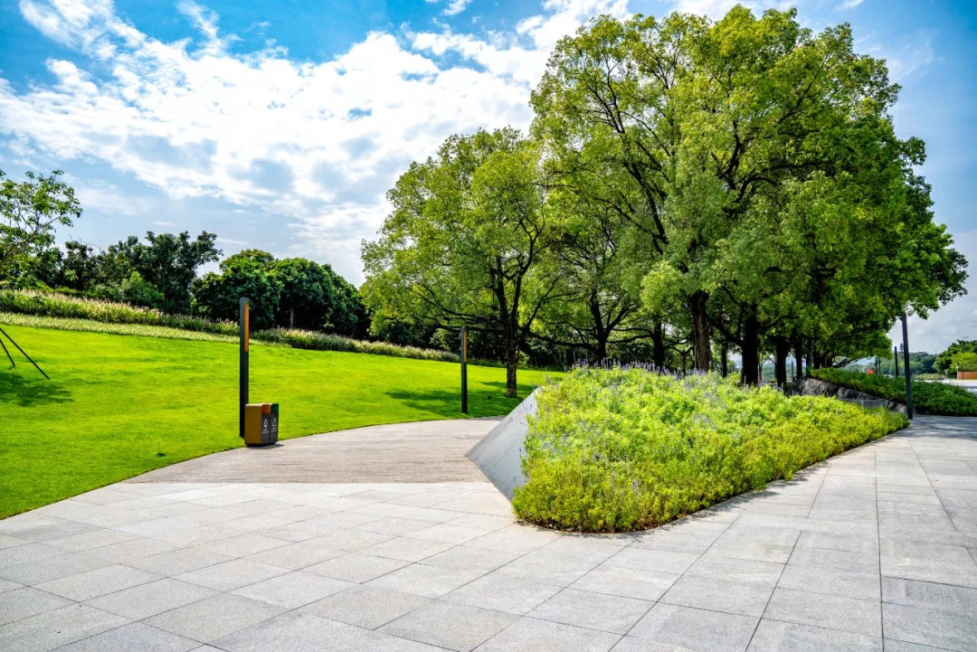 61e92cc76cc15.jpg IMG_3456.JPG