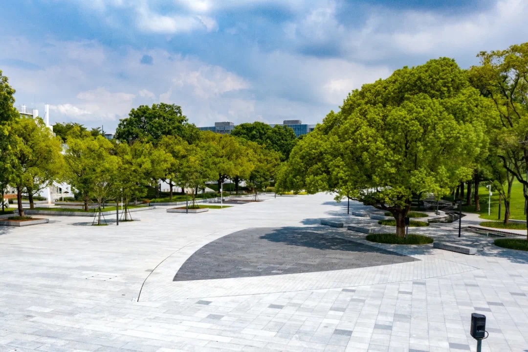 61e92da831854.jpg IMG_3471.JPG