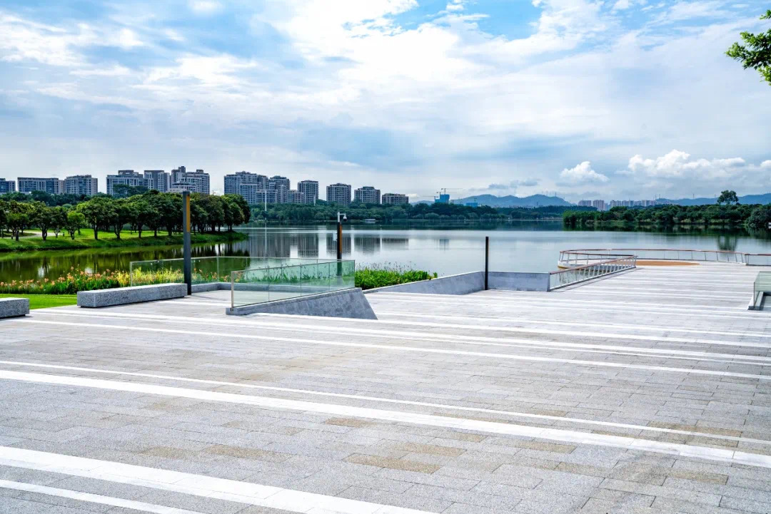 61e92dc1966df.jpg IMG_3474.JPG