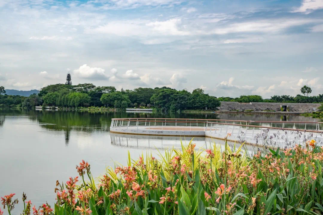 61e92ddb2ed87.jpg IMG_3477.JPG