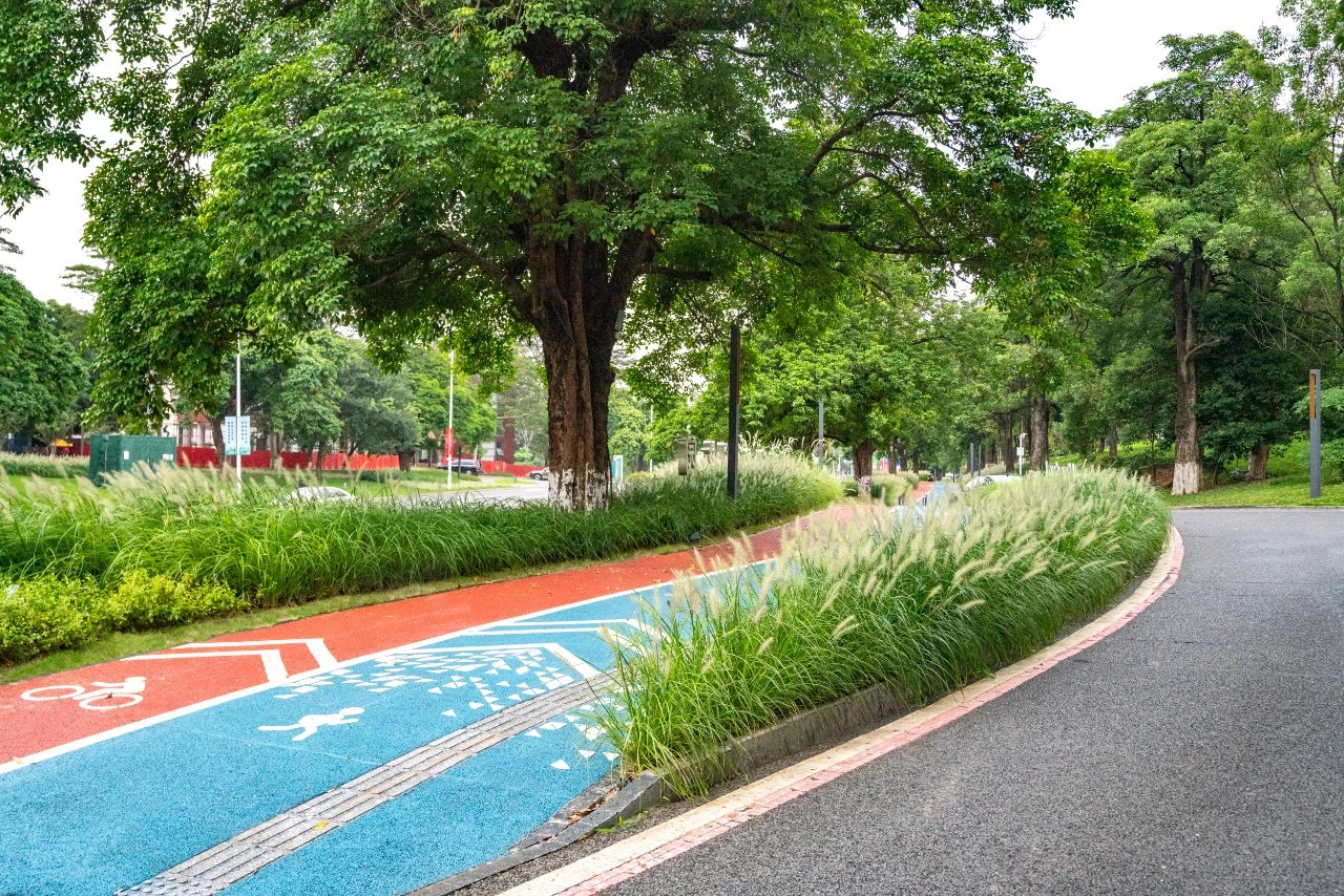 61e92e01ed6a7.jpg IMG_3480.JPG