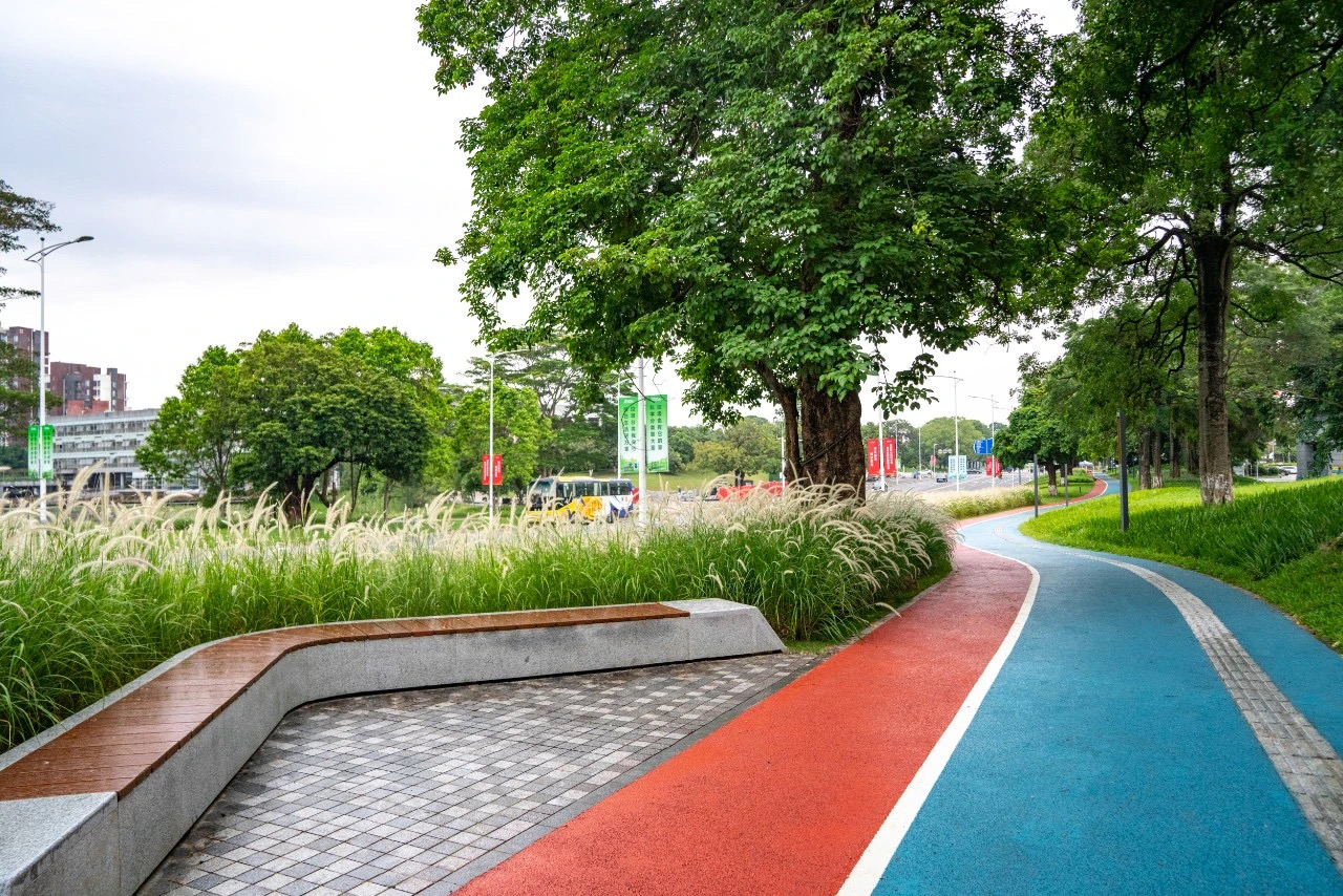 61e92e11704b8.jpg IMG_3481.JPG