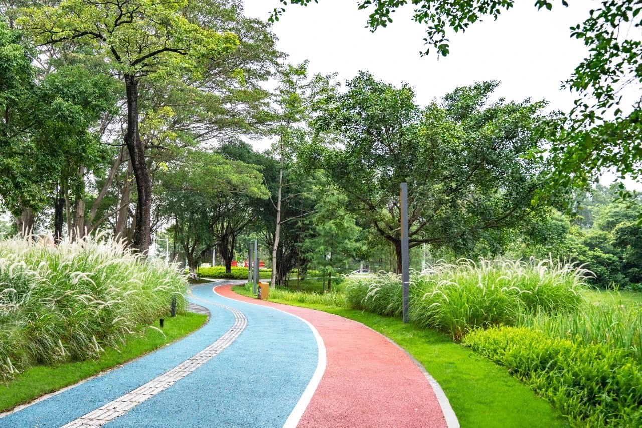 61e92e1feae20.jpg IMG_3482.JPG