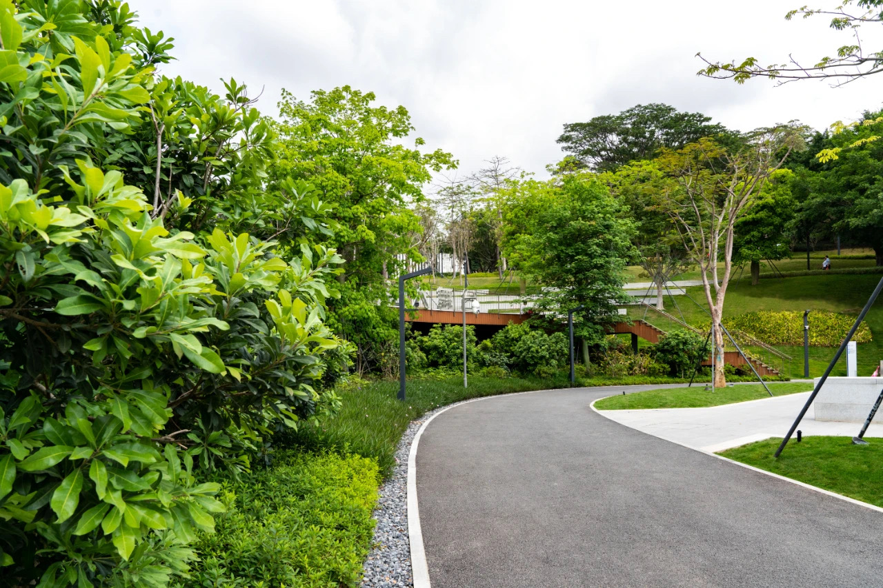 61ee5155ce5b7.jpg 61ee5155ce5b7.jpg