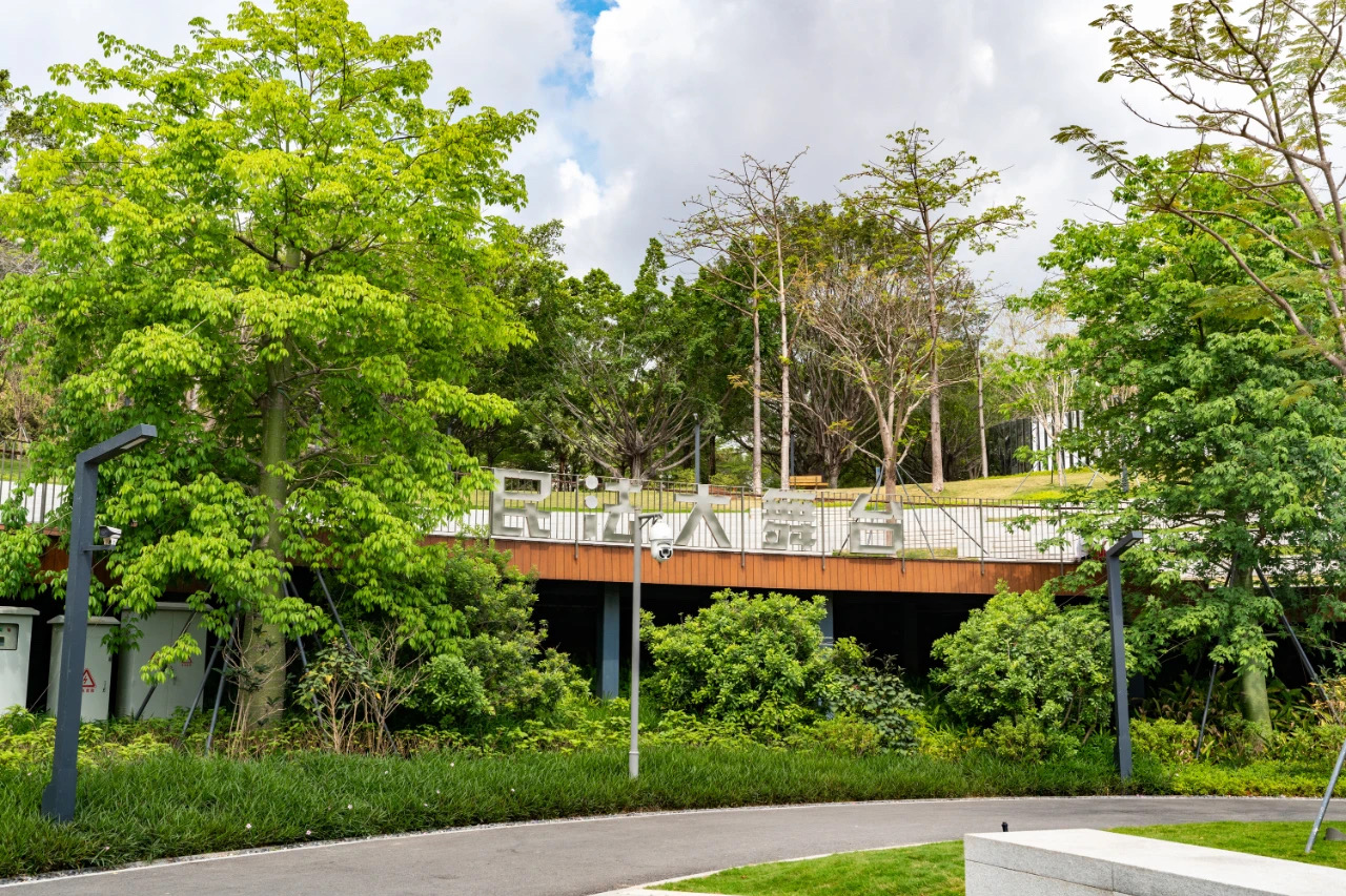 61ee5164f04a7.jpg 61ee5164f04a7.jpg