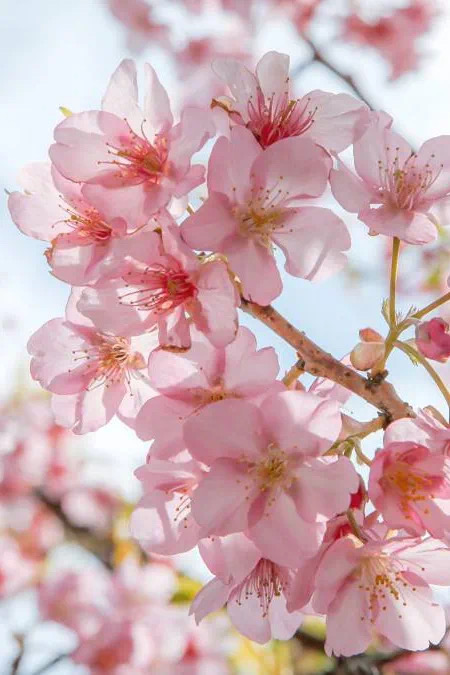 6247ceb77272a.jpg IMG_6699.JPG